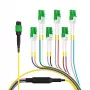 EFB Elektronik MTPF12LCAPC-2 - 2 m - OS2 - MTP - 12x LC Cable de fibra óptica breakout