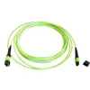 EFB Elektronik MTPF12MTPFOM5-2 2m OM5 Cable de conexión de fibra MTP a MTP