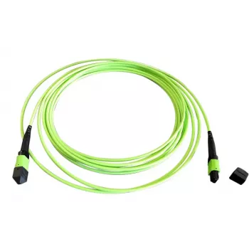 EFB Elektronik MTPF12MTPFOM5-2 2m OM5 Cable de conexión de fibra MTP a MTP