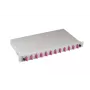 EFB Elektronik B71203L24OM4 Caja de empalme de fibra óptica SC 50/125µm OM4 extraíble, 24 pigtails / 12 adaptadores
