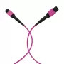 EFB ELEKTRONIK cable de parcheo MPO-PLUS(F)-MPO-PLUS(F) OM4 12 fibras tipo B LSZH violeta brezo 15m