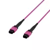EFB ELEKTRONIK cable de parcheo MPO-PLUS(F)-MPO-PLUS(F) OM4 12 fibras tipo B LSZH violeta brezo 2m