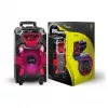 Leicke DJ ROXX TROLLEY PRO sistema de altavoces PA portátil con Bluetooth, 100W RMS, woofer de 10 pulgadas, luces LED, trolley, micrófono, mando a distancia