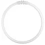 Osram lámpara fluorescente circular T5 FC22W 840 2GX13