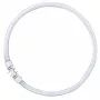 OSRAM LUMILUX T5 FC lámpara fluorescente circular 40W 830 2GX13 blanco cálido 3000K