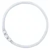 OSRAM LUMILUX T5 FC lámpara fluorescente circular 55W 865 luz de día 2GX13