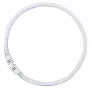OSRAM LUMILUX T5 FC lámpara fluorescente circular 55W 865 luz de día 2GX13