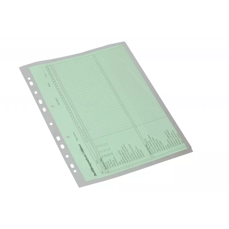 Eichner 10 fundas organizadoras de documentos transparentes lisas A4