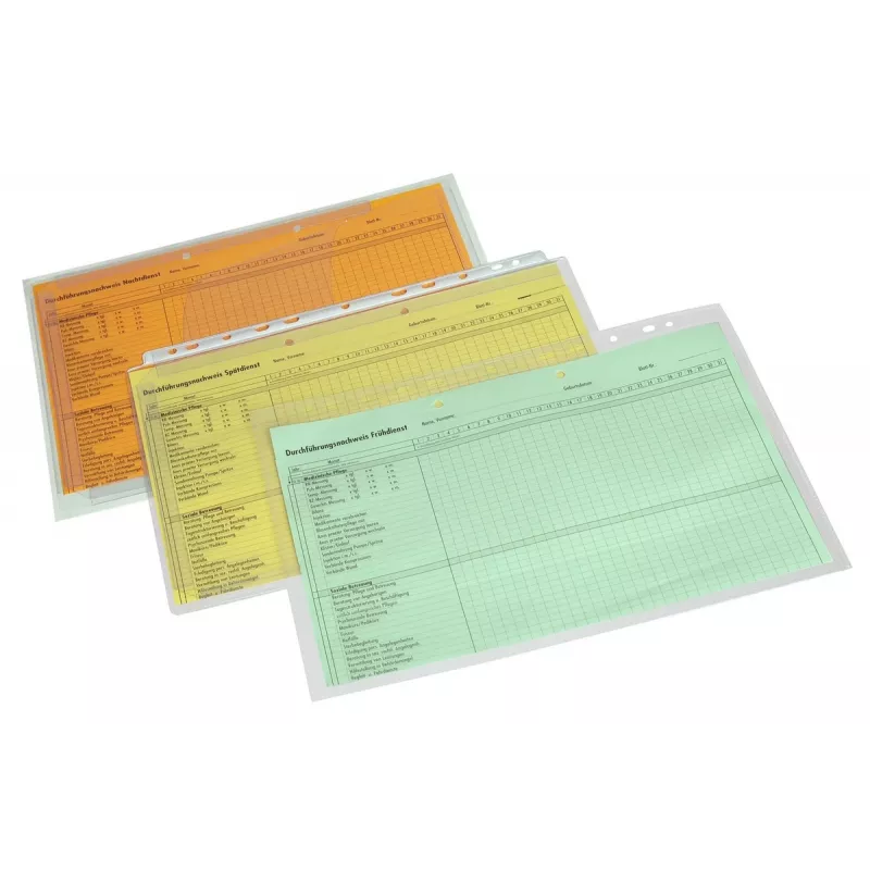 Eichner 10 fundas de documentos transparentes A4