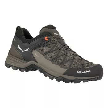 Salewa Zapatos de senderismo Mountain Trainer Lite GTX