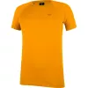 SALEWA Camiseta Wild Country Session 2 - Nectar - Talla L