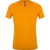 SALEWA Camiseta Wild Country Session 2 - Nectar - Talla L