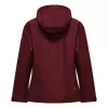 Salewa Puez Aqua 4 PTX Chaqueta 2.5L de Mujer - Syrah, XS