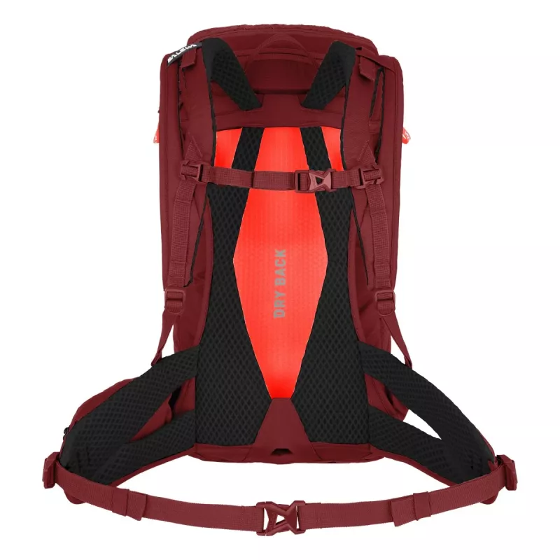 Mochila SALEWA Alp Trainer 20 para mujer Syrah
