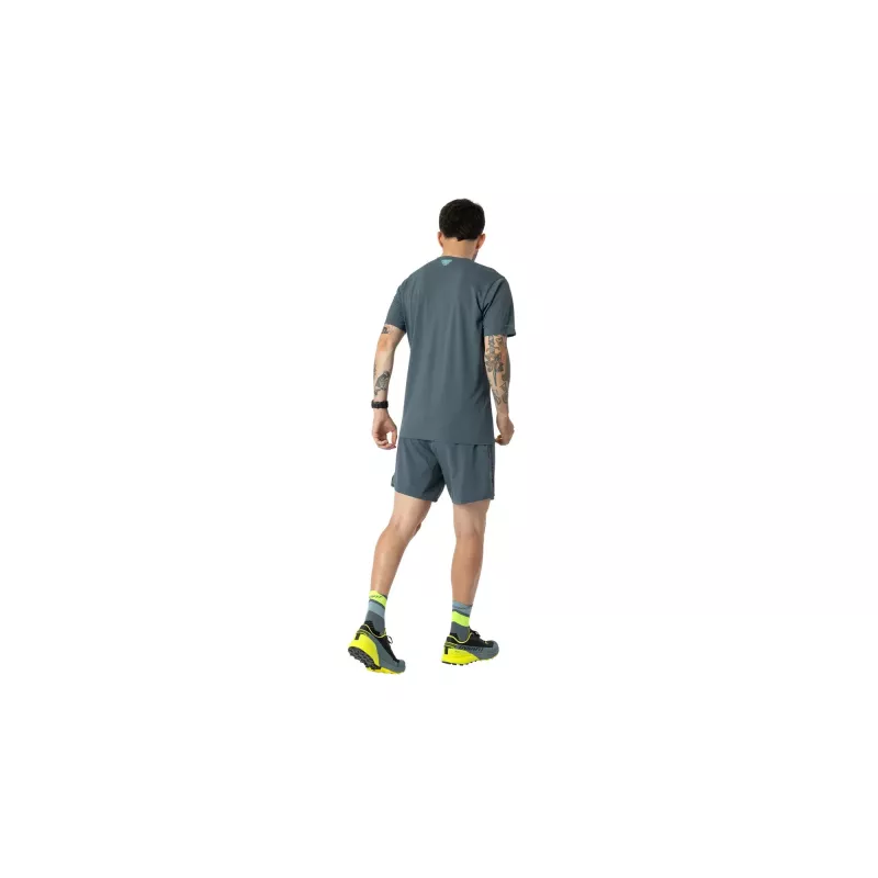 SALEWA Camiseta Alpine Smoke Blue L DYNAFIT
