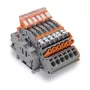 WAGO 2007-8875 Borne de carril para transformador de corriente, 1 polo, gris, Push-in CAGE CLAMP, 41 A, 1000 V, carril DIN