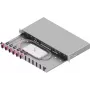 ZVK Easylan caja de empalme de fibra óptica Basic LSB1A114 1U 6x SC-Duplex OM4 RAL7035