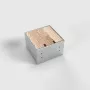 BEP24 Caja de suelo 2x Schuko (tipo F) Plata Acero inoxidable