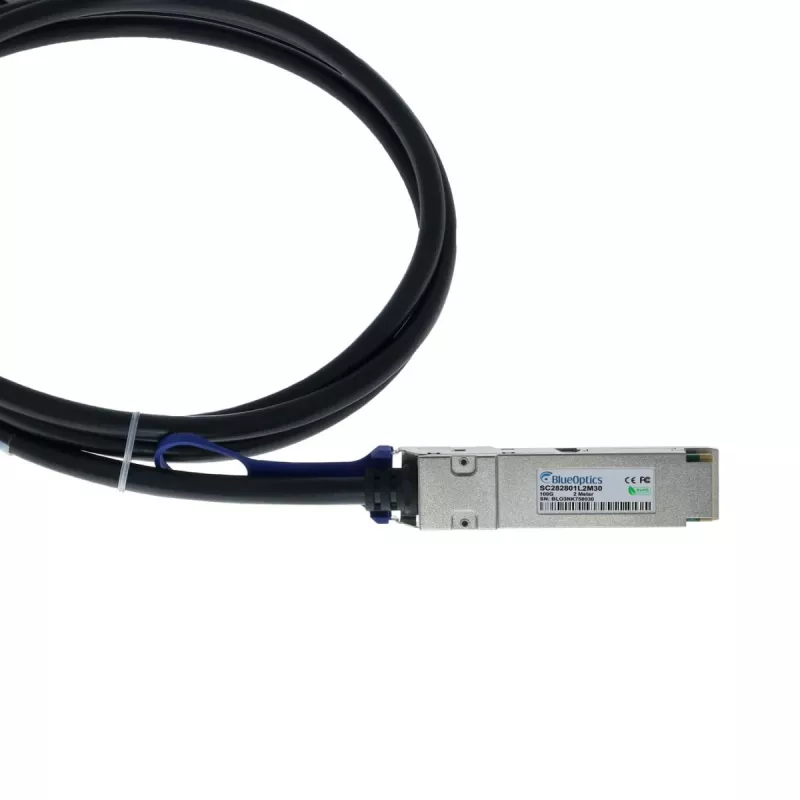 BlueOptics Ruckus Compatible BlueLAN DAC QSFP28 100G 1m Cable de Cobre Pasivo