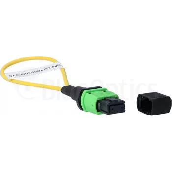BlueOptics Adaptador loopback MPO/MTP monomodo SM 9/125µm APC férula de cerámica