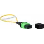 BlueOptics Adaptador loopback MPO/MTP monomodo SM 9/125µm APC férula de cerámica