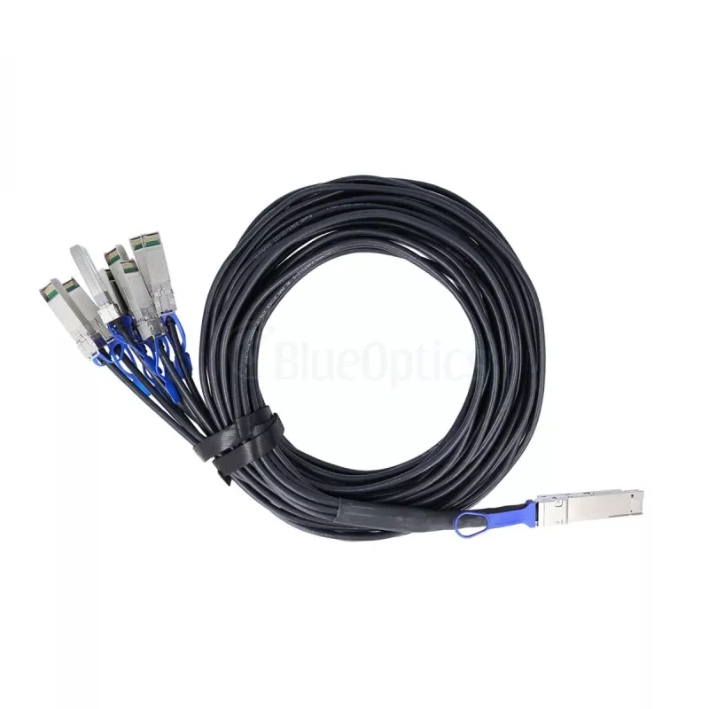 BlueOptics Dell EMC Compatible con BlueLAN Cable breakout DAC 200GBASE-CR8 QSFP-DD a 8x SFP28 3m