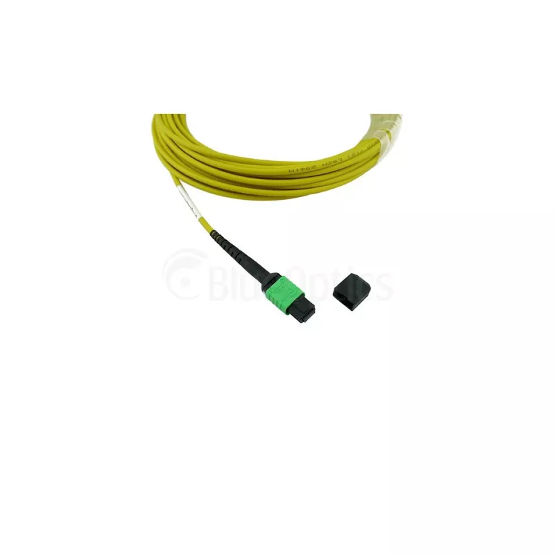 BlueOptics Cisco CB-M12-M12-SMF2M Cable de Parcheo MPO-MPO Multimodo G.657.A1 2 metros