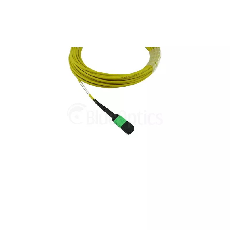 BlueOptics Cisco CB-M12-M12-SMF30M Cable de Parcheo de Fibra Óptica Monomodo MPO a MPO 30 m