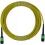 BlueOptics Cable troncal MPO monomodo 12 fibras 2 metros Type B