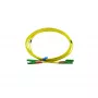 BlueOptics Cable de fibra óptica dúplex E2000-APC/E2000-APC monomodo OS2 10 m conectores verdes