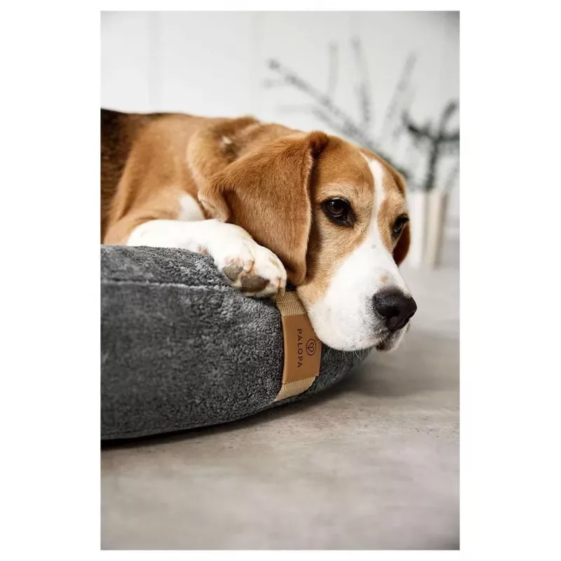Palopa Fippa cama para mascotas M-L, antracita