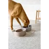 Cuenco para perros de porcelana PALOPA Cali taupe
