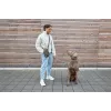 PALOPA 2 en 1 bolsa para premios de perro y portabotellas Boudi Dark Olive