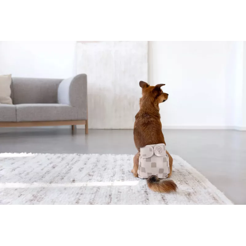 PALOPA pañal reutilizable para perros Heat Pants para incontinencia Glan Taupe S