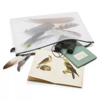 Foldersys Bolsa con cremallera B4 transparente
