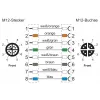 METZ CONNECT 142M2X12020 - 2 m - Cat6a - M12 - M12 - verde