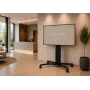 celexon Expert Adjust-4286MB Carro móvil para pantallas de 42 inch-86 inch, aluminio anodizado, negro (RAL 9005)