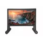 Pantalla de proyección inflable para exteriores Celexon Professional INF 100, 100