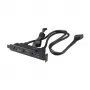 Akasa cable adaptador interno USB 3.1 Gen 2 con dos conectores USB 3.0 Type-A - 50 cm - Negro