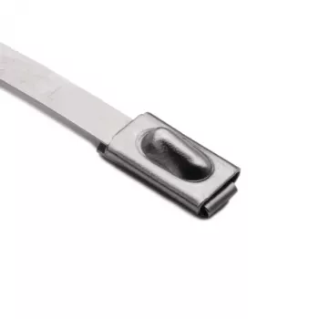 HellermannTyton 111-93088 bridas de acero inoxidable con recubrimiento PA11, 201 mm de longitud, 4,6 mm de ancho, 0,3 mm de grosor, 50 mm de diámetro de haz, metálico/plata, pack de 100