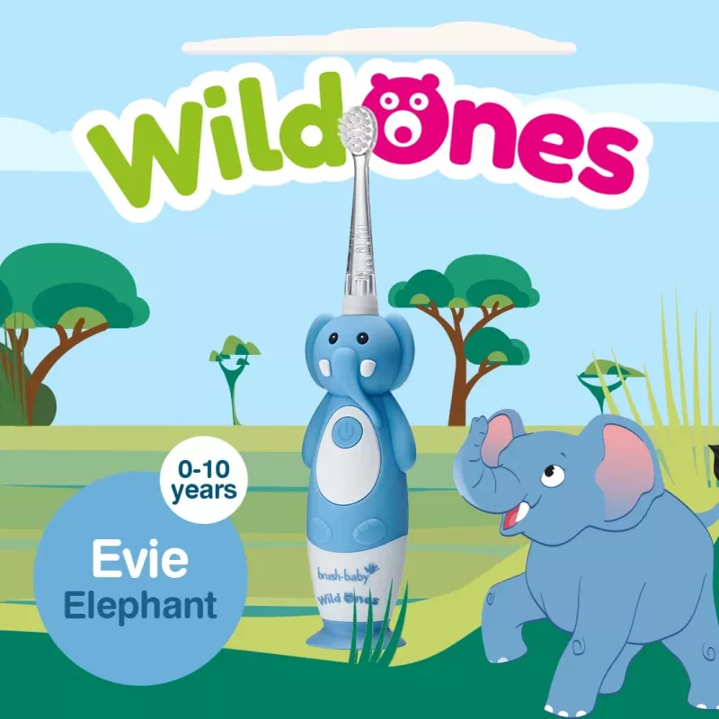 Brush Baby Cepillo de dientes sónico Wild Ones para niños 0-10 años, diseño elefante, gris/blanco