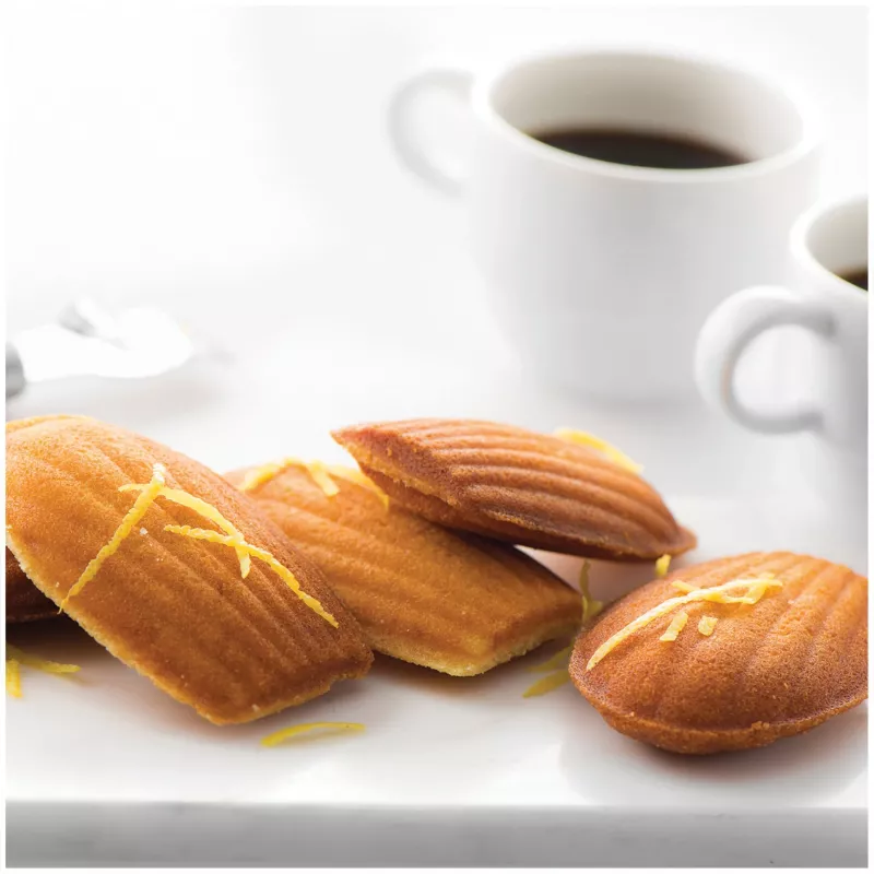 Fritel placa de gofrera para madeleines
