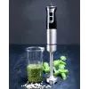 Gastronoma 18210001 Batidora de mano, 1000 W, negro/plateado