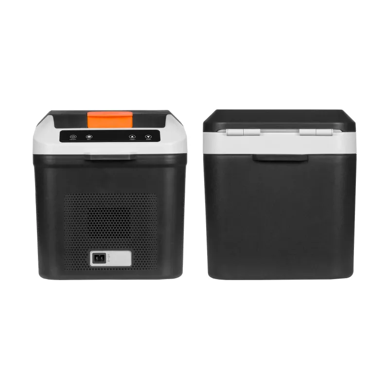 TEESA nevera de viaje profesional con función congelador 13L DC12/24V AC 230V