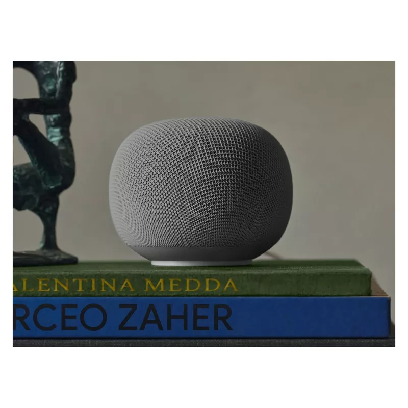 Altavoz Google Home Hazel EU