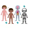 Janod Cuerpo Humano Set de Puzzles Educativos de 50, 75 y 100 Piezas
