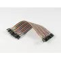 ALLNET cable Dupont Jumper 40 pines 20 cm macho a hembra (ALL-A-5)