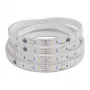 SYNERGY21 tira LED Flex 2835 - 60 NW Pixel DC24V WS2811 IP65