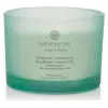 Chesapeake Bay Candle Balance & Harmony vela aromática grande 3 mechas 312 g