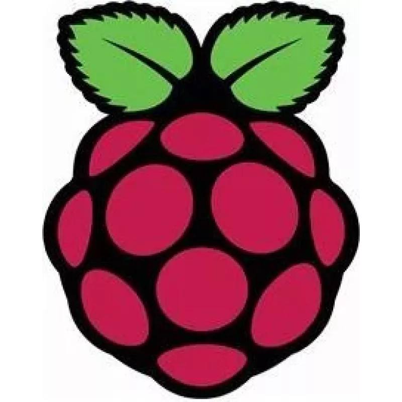 Raspberry Pi Pi - monitor LCD - 39,6 cm (15,6 pulgadas) - 1920 x 1080 Full HD (1080p)